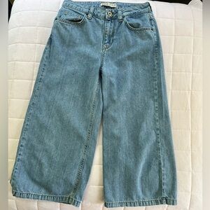 Zara Blue Flare Wide Leg Jeans